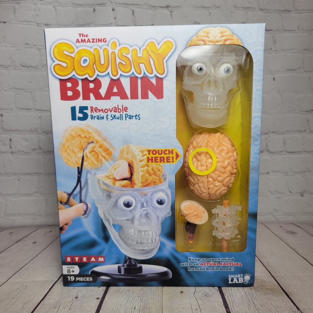 The Amazing Squishy Brain Experiment SmartLab 19 Pcs Teaching Homeschool Science
